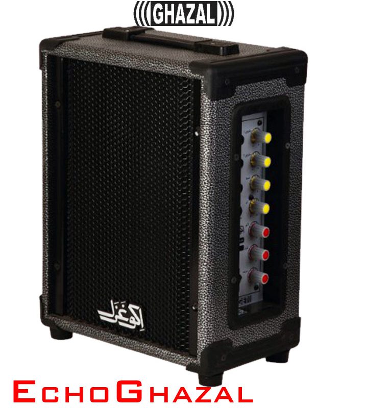 اکو آمپلی فایر پرتابل جدید G60BN USB